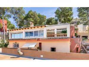 516177_37556883540_4_20230927111839092