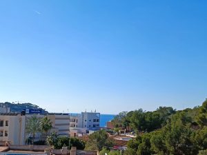 516177_37556883540_7_20230927111851356