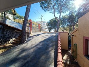 516177_37556883540_8_20230927111855155