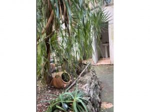 516177_48357785970_0cc4d71c-ff56-43ce-be91-5fbb4c643e7f