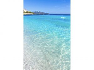 516177_48360646345_8833295e-b003-47fd-86f2-54e86a289bd1