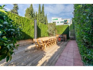 516177_49184104073_3_20241128112153899