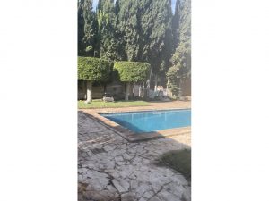 516177_49184104073_d90afd11-9475-45ce-8e05-c58e36d5f88e