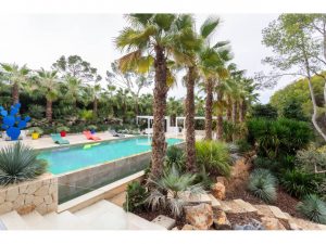 516177_49262643948_b73b35a2-5c25-4aea-957a-a5ab03834ebb