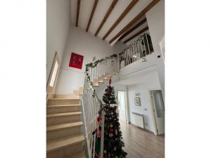 516177_51684749801_62e240ab-d4bd-4d65-81d9-b56a215e2209